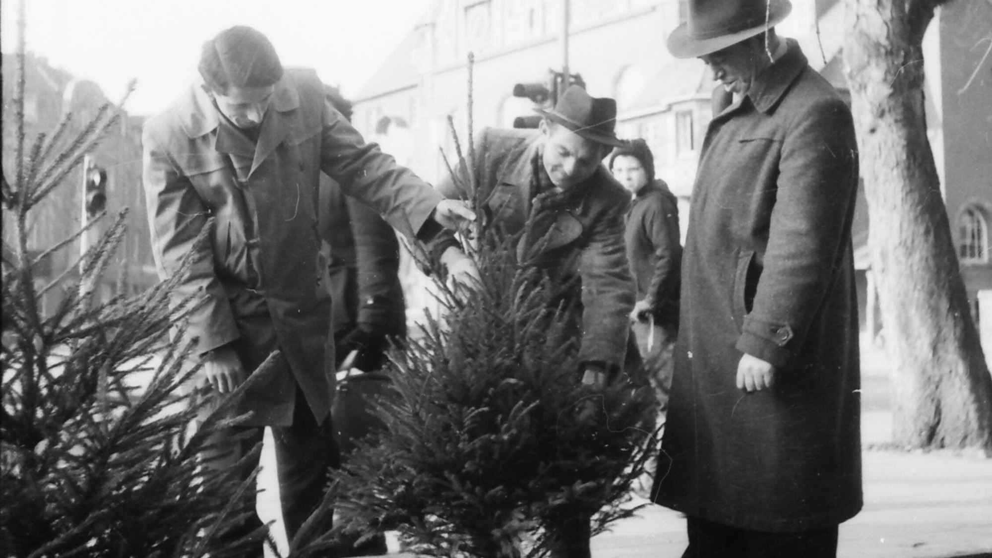 1959 auf dem Marktplatz in Bergisch Gladbach: Drei Männer begutachten an einem Verkaufsstand einen kleinen Weihnachtsbaum.