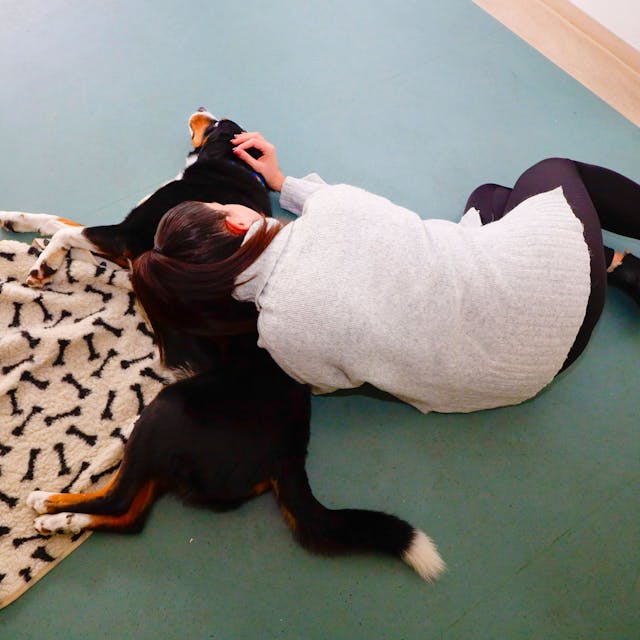 Therapiehund Rico der.Jugendpsychiatrie Holweide liegt mit einer Patientin auf dem Boden.