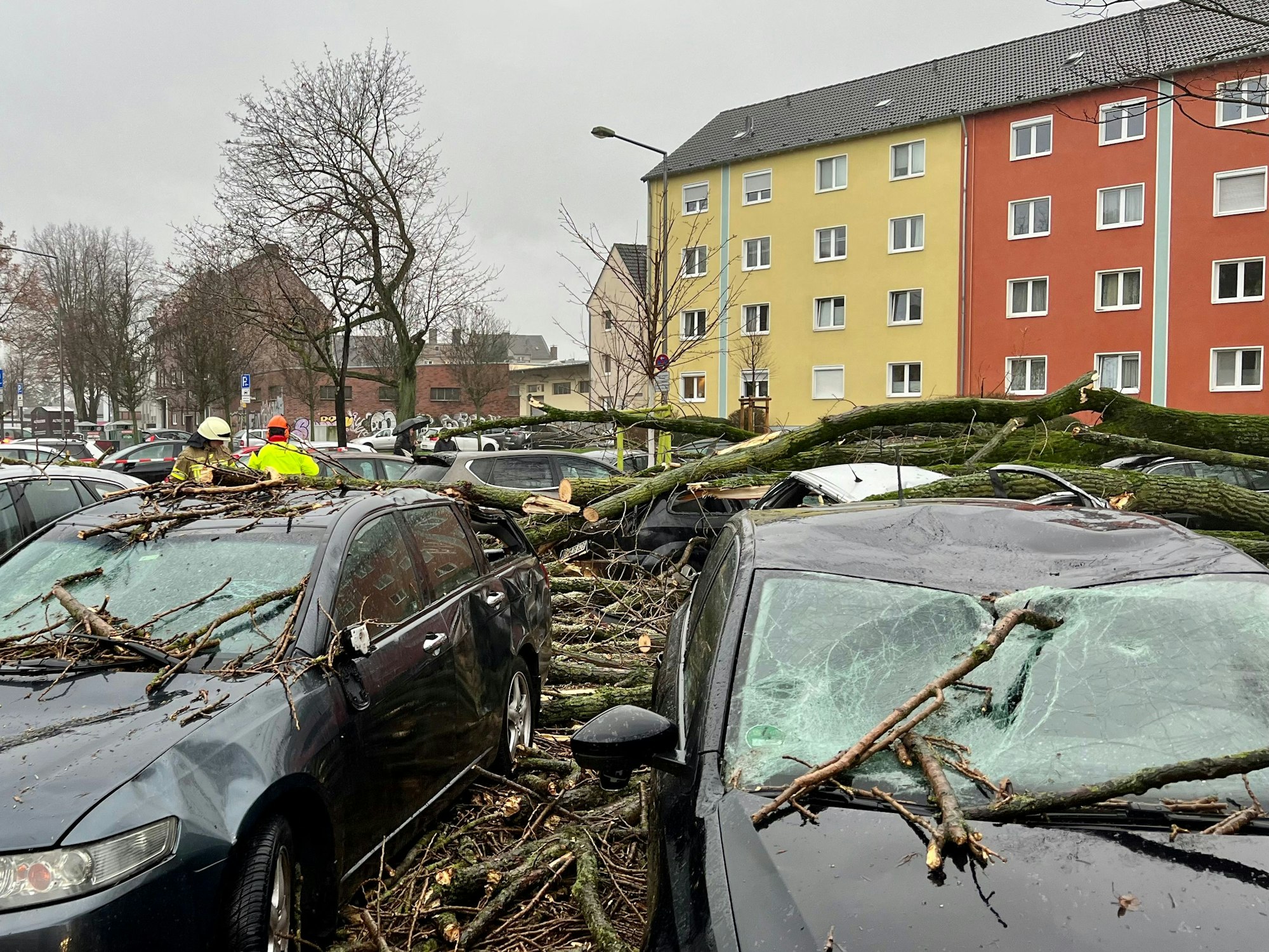 Autos sind durch Äste und Baumstämme demoliert.