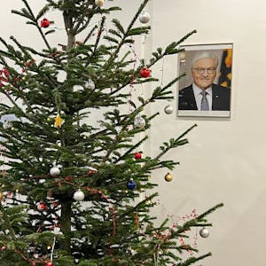 Ein Tannenbaum steht im Amtsgericht Leverkusen