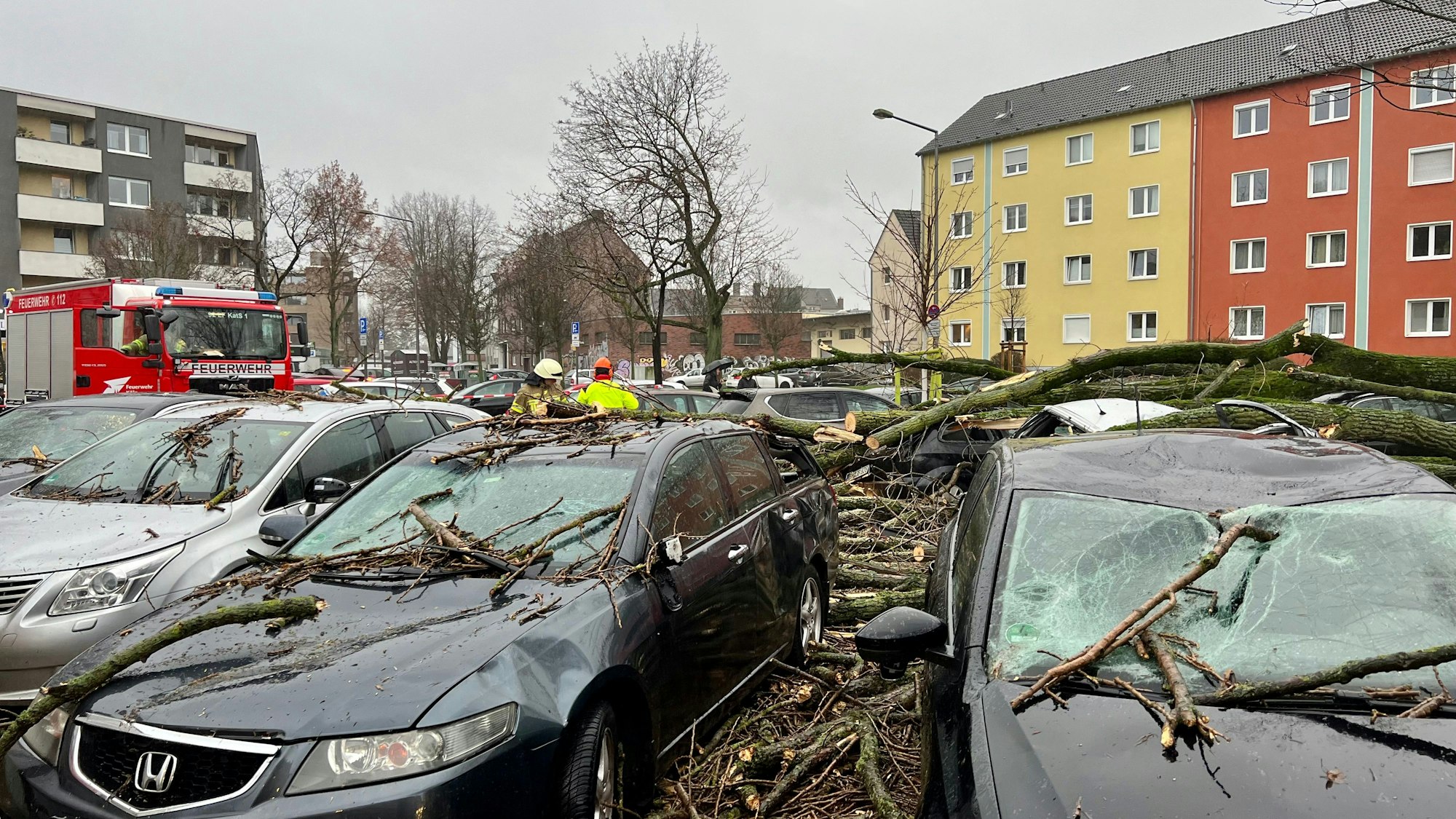 Ìn Zollstock sind zahlreiche Äste von den Bäumen gestürzt und haben mehrere Autos beschädigt. Sturmtief Zoltan hatte am 21. Dezember 2023 Köln getroffen.