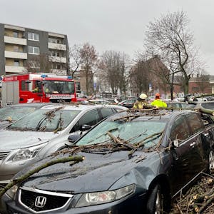 In Zollstock sind zahlreiche Äste von den Bäumen gestürzt und haben mehrere Autos beschädigt. Sturmtief Zoltan hatte am 21. Dezember 2023 Köln getroffen.
