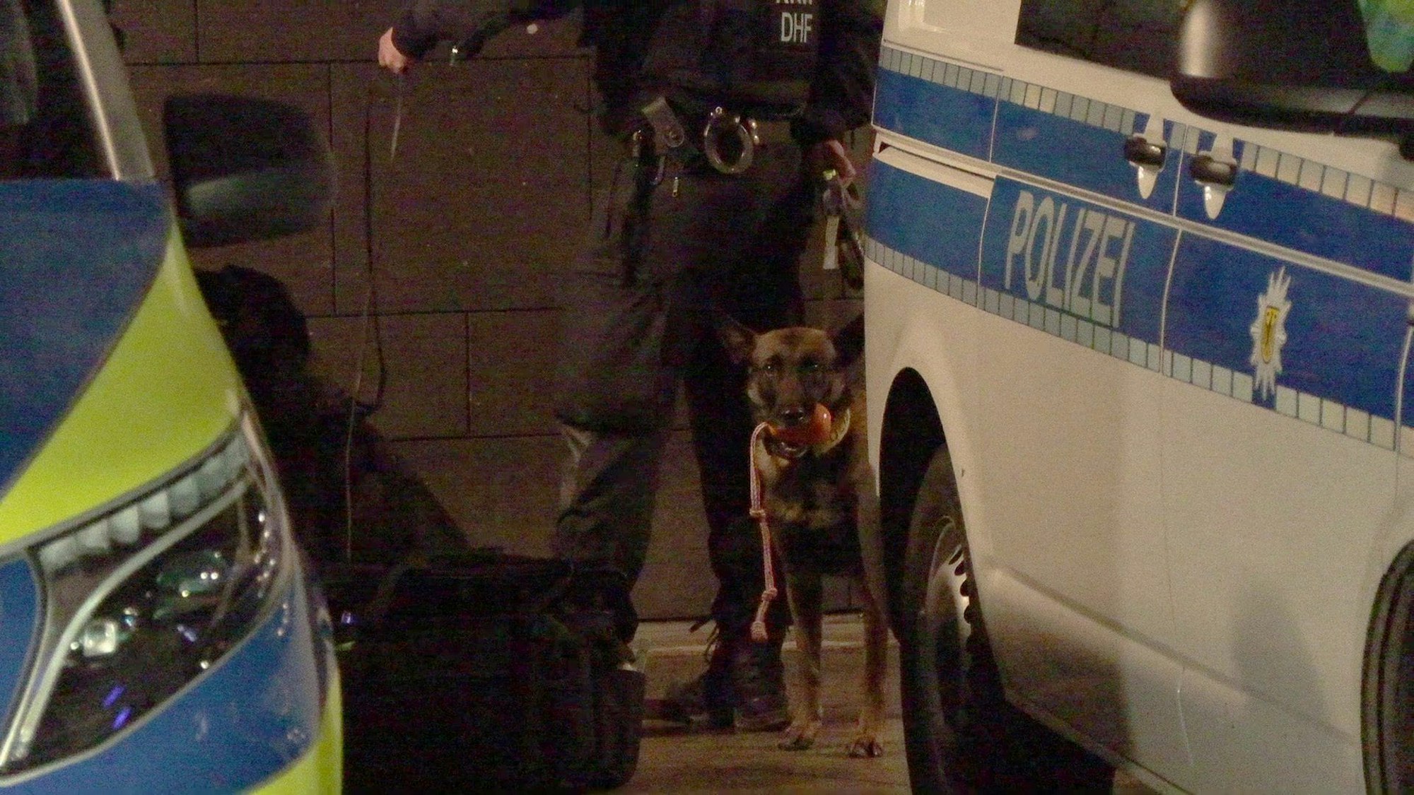 Ein Standbild aus einem Video zeigt einen Polizeihund am Samstagabend am Kölner Dom.