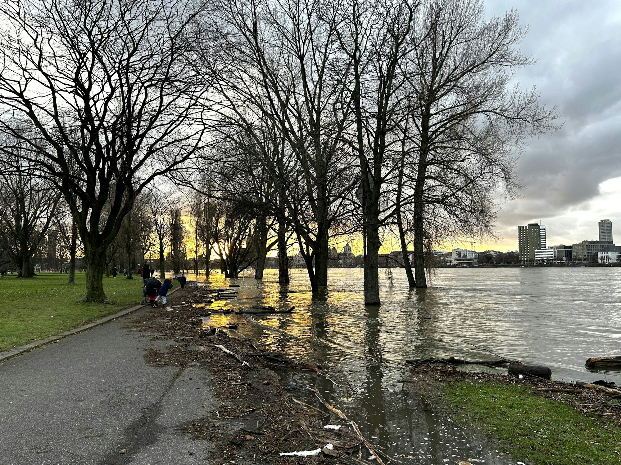 Hochwasser im Rheinpark am Zweiten Weihnachtstag.