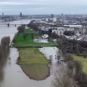 Die Pollerwiesen am Rheinufer stehen unter Wasser (Aufnahme mit Drohne).