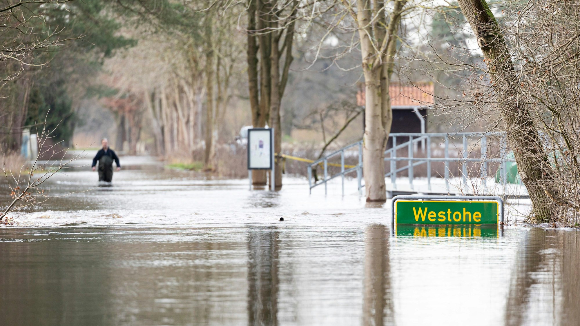 Eine Person läuft auf einer überfluteten Straße in der Siedlung Westohe der Gemeinde Winsen (Aller) im Landkreis Celle.