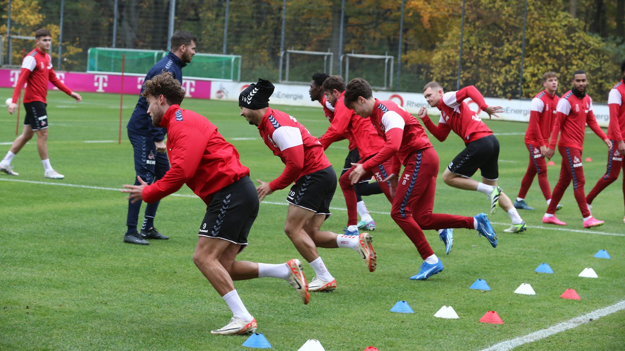 Die Profis des 1. FC Köln wärmen sich beim Training mit Sprint-Übungen auf.