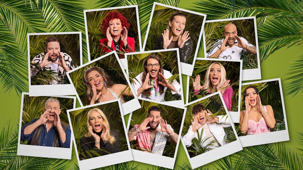 Die zwölf Kandidatinnen und Kandidaten fürs RTL-Dschungelcamp 2024