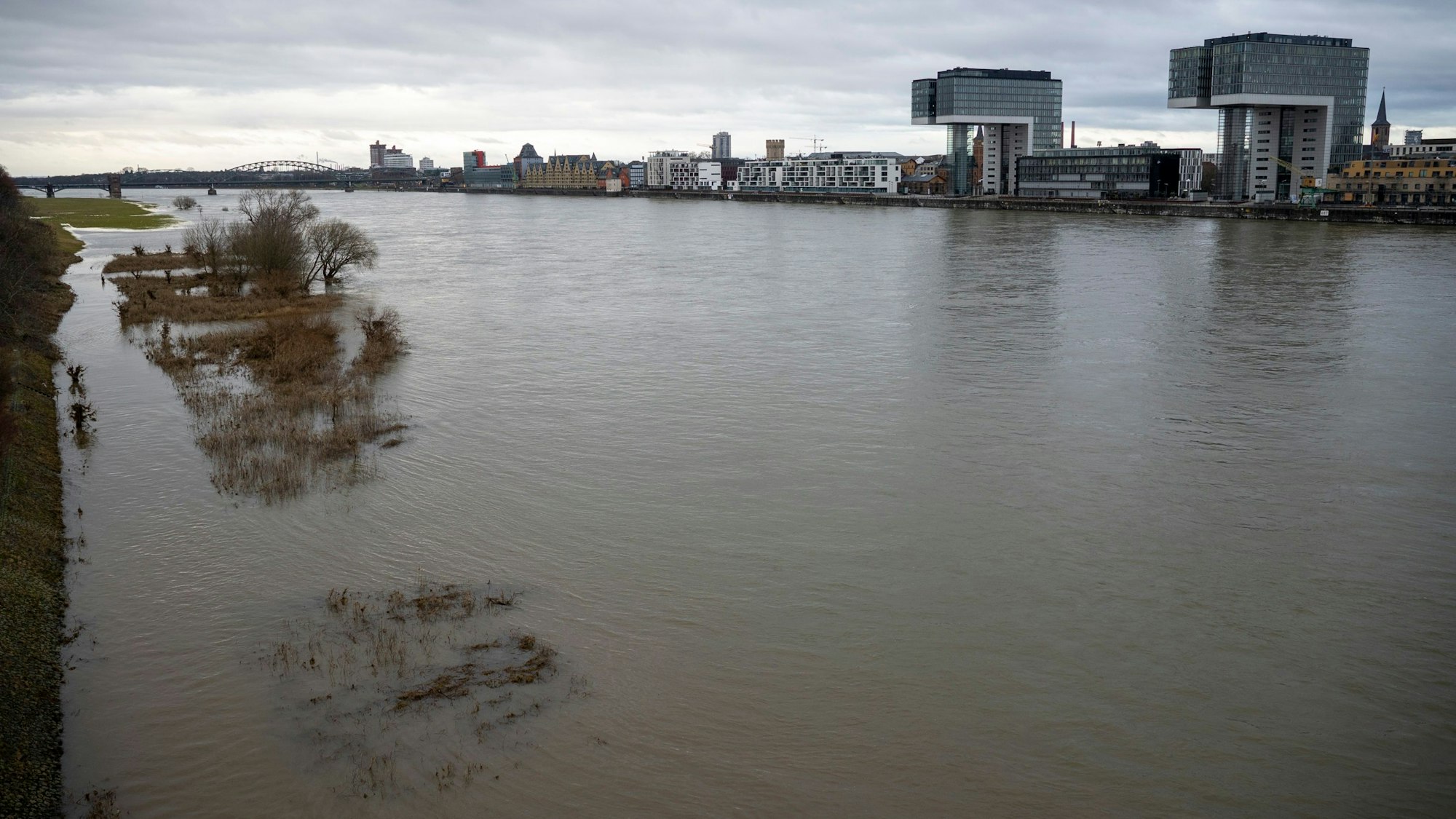 Der Rhein hat einen Teil des Ufers geflutet, auf der anderen Uferseite befinden sich die Kölner Kranhäuser.