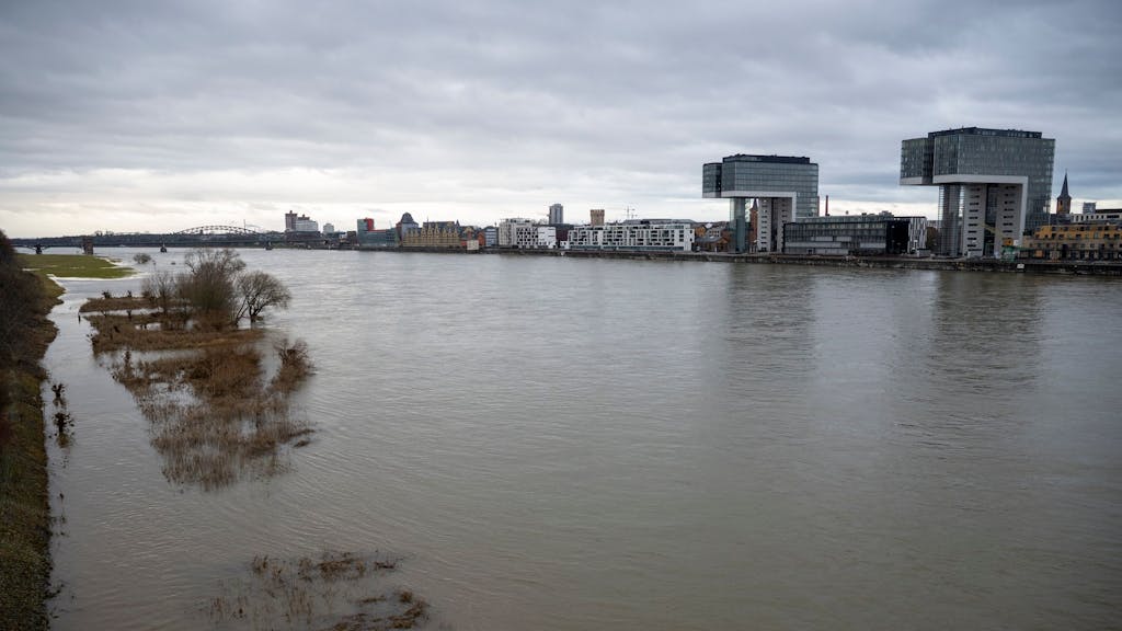 Der Rhein hat einen Teil des Ufers geflutet, auf der anderen Uferseite befinden sich die Kölner Kranhäuser.