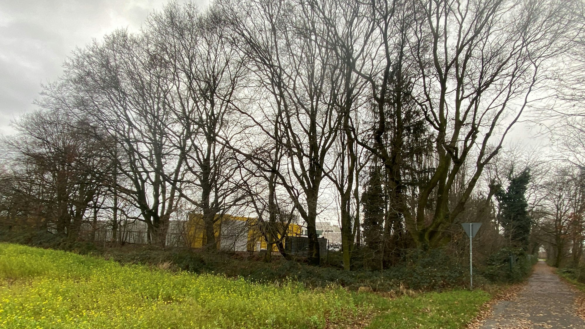 Hinter Bäume steht ein Fabrikgebäude.