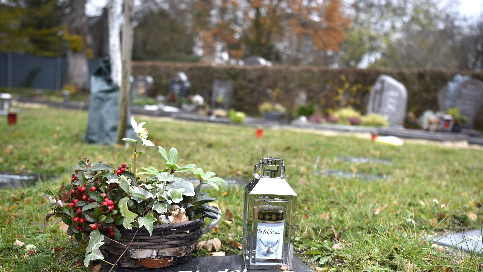 Das Bild zeigt Gräber auf dem Zülpicher Friedhof.