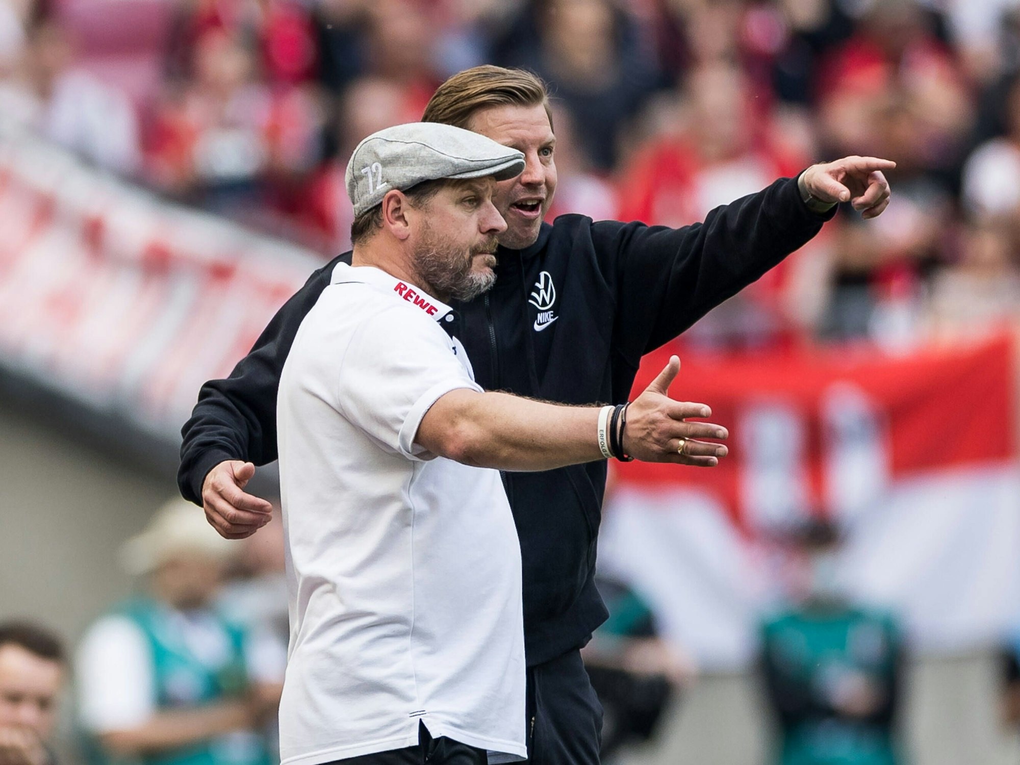 Florian Kohfeldt und Steffen Baumgart gestikulieren nebeneinander bei einem Bundesliga-Spiel des 1. FC Köln gegen den VfL Wolfsburg.