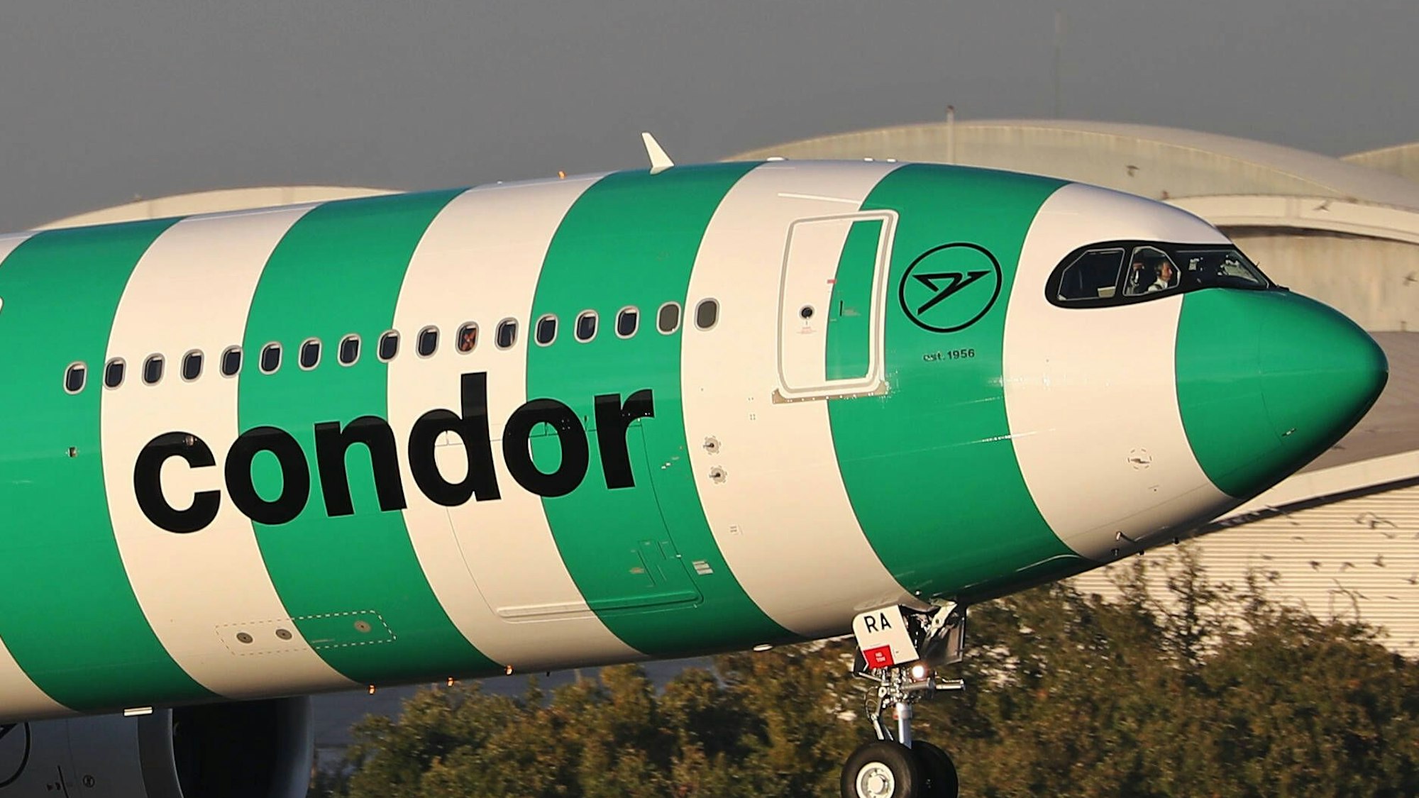Ein Airbus A330 der deutschen Fluggesellschaft Condor hat einen Flug nach Frankfurt am Main wegen eines medizinischen Notfalls plötzlich abbrechen müssen. Ein Passagier starb kurz darauf. (Symbolbild)