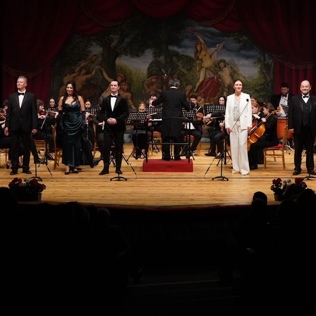 Musiker des Ensembles Johann-Strauss-Operette Wien stehen auf der Bühne.