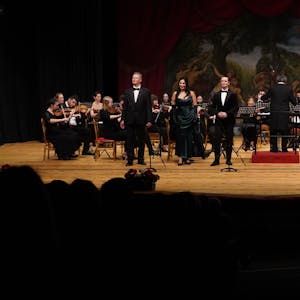 Musiker des Ensembles Johann-Strauss-Operette Wien stehen auf der Bühne.