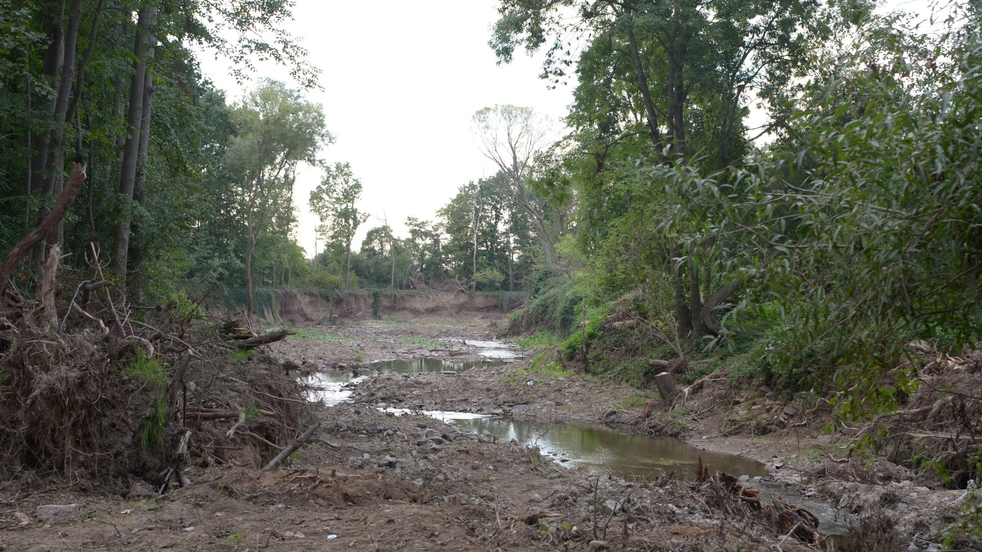 Die Uferböschungen des Orbachs sind zerstört, Bäume entwurzelt, das Bachbett ist um ein Vielfaches breiter als vor der Hochwasserkatastrophe.