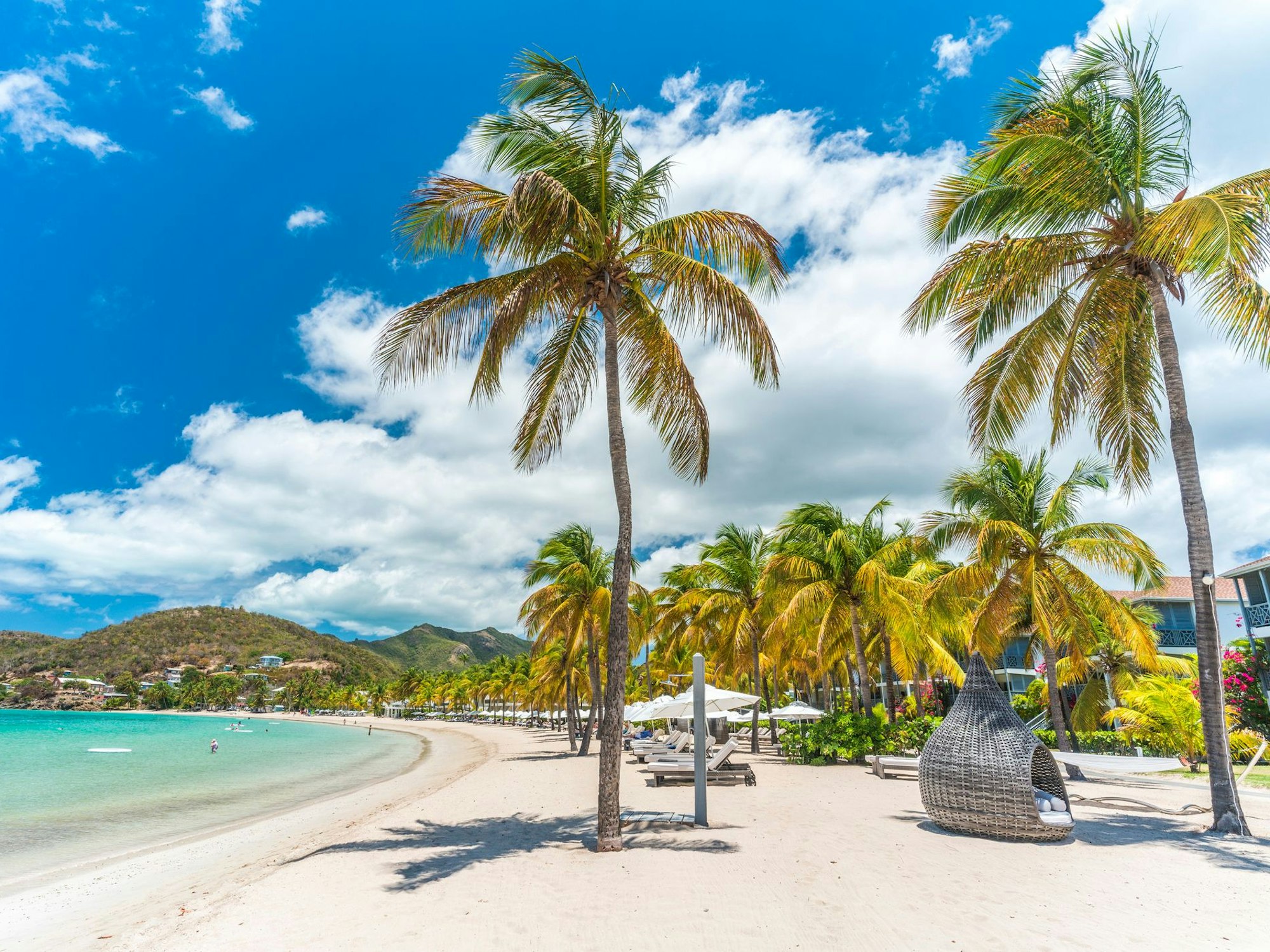 Ein Strand mit Palmen in der Karibik.