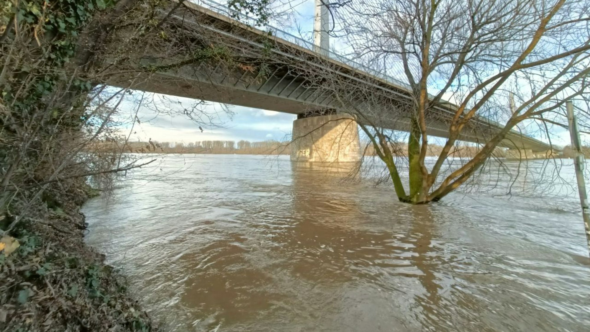 Im Bonner Norden ist am Leinpfad das Rheinufer komplett überflutet. Dass Teile des Geh- und Radwegs eingebrochen sein sollen, ist unter den Wassermassen derzeit nicht sichtbar.