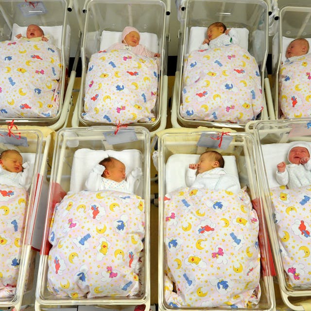 Säuglinge liegen auf einer Neugeborenenstation nebeneinander. (Symbolbild)