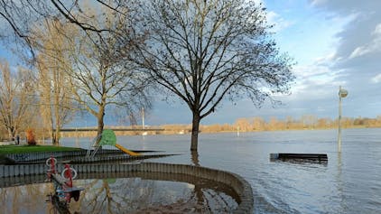 Wasser überflutet das Rheinufer in Bonn an der Nordbrücke und auch Teile eines Spielplatzes.