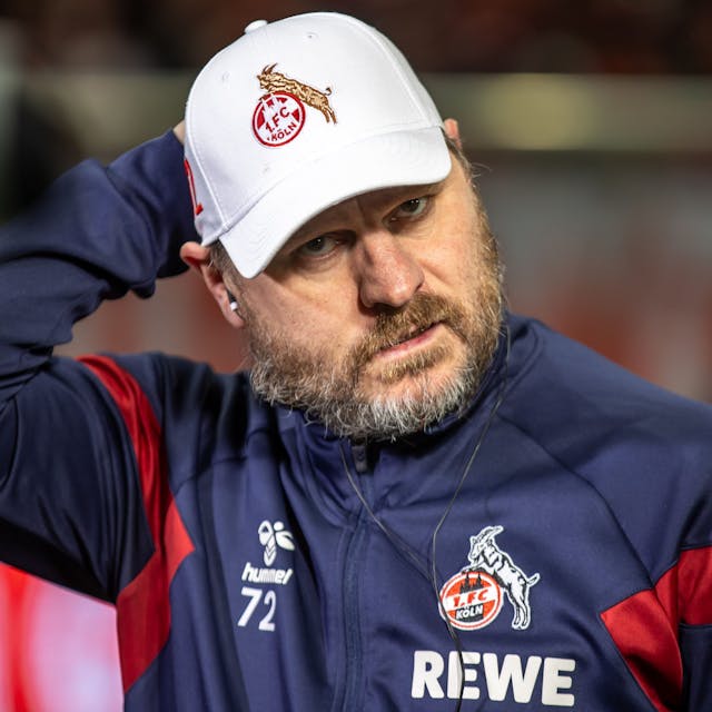 Trainer Steffen Baumgart von 1. FC Köln blickt konzentriert.