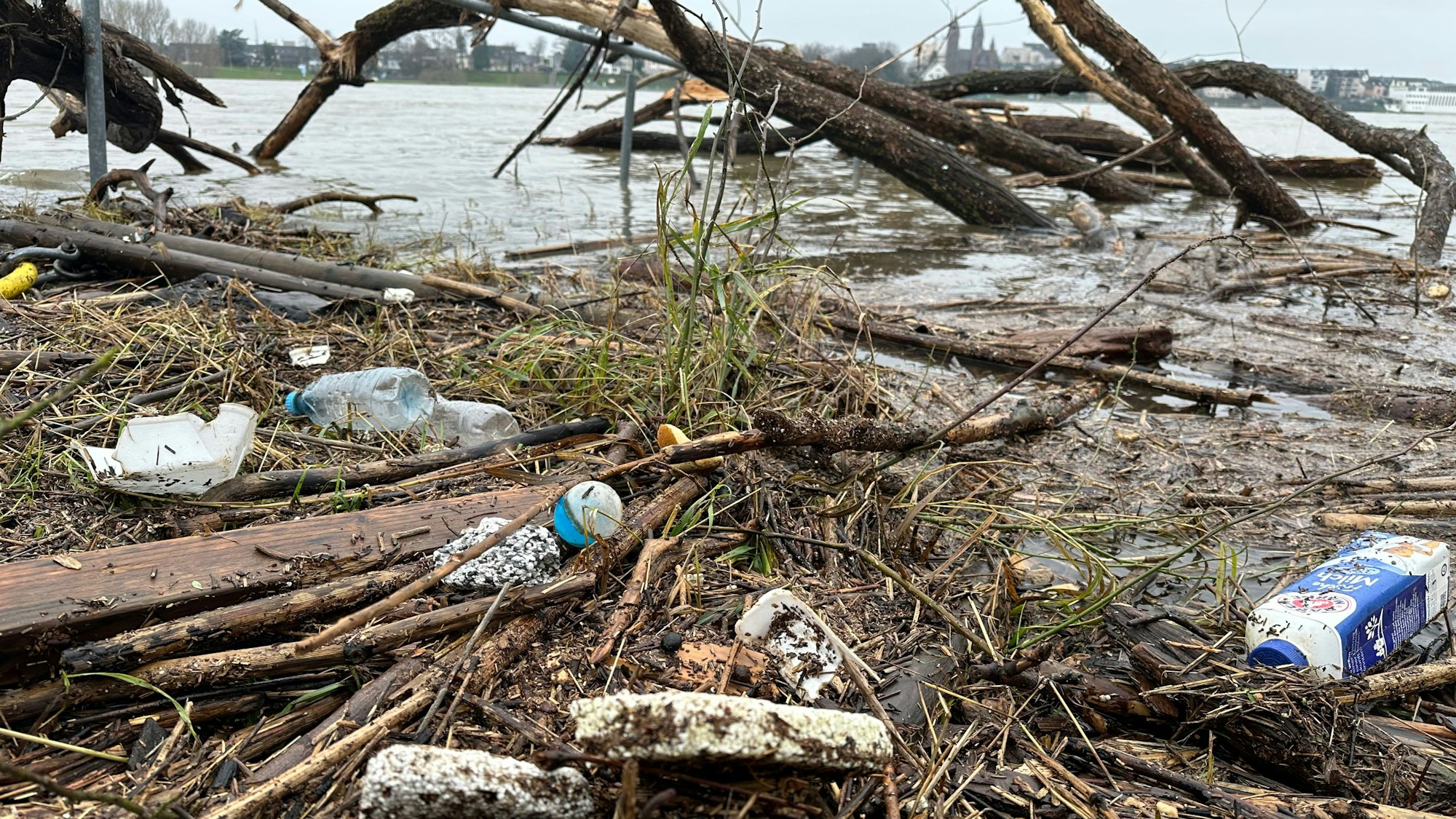 Am Rheinufer in Niederkassel findet man jede Menge Plastikdosen und Styroporteile, die vom Hochwasser zurückgelassen wurden.