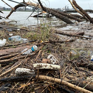 Am Rheinufer in Niederkassel findet man jede Menge Plastikdosen und Styroporteile, die vom Hochwasser zurückgelassen wurden.