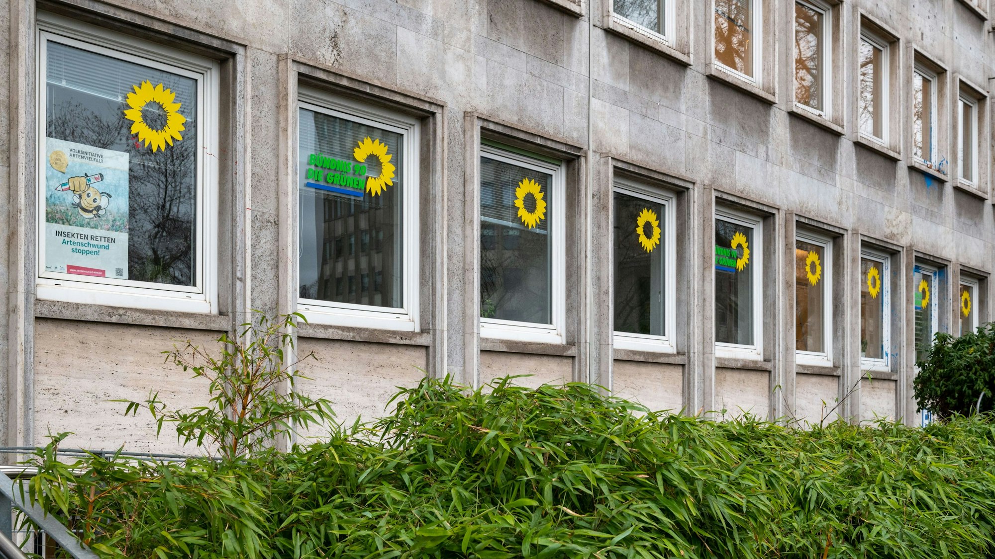 Die Parteizentrale der Kölner Grünen