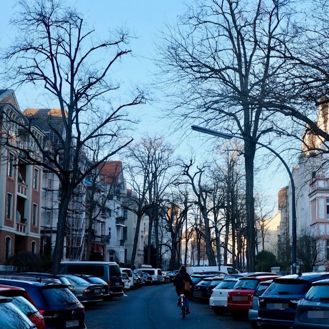 Eine Straße mit Altbauten an beiden Seiten und hohen kahlen Bäumen ist zu sehen.