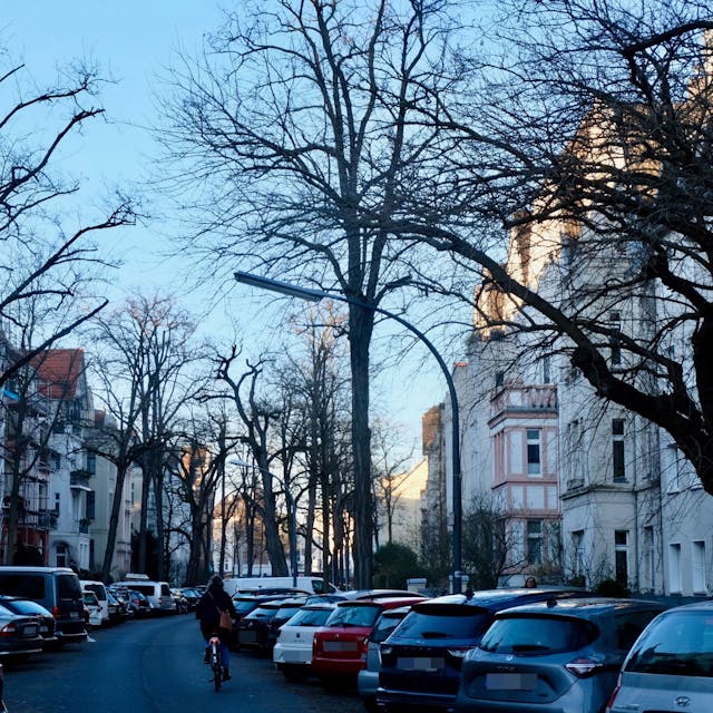 Eine Straße mit Altbauten an beiden Seiten und hohen kahlen Bäumen ist zu sehen.