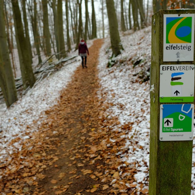 Ein schmaler Wanderweg in einem Wald in der Eifel ist von Laub bedeckt. Neben dem Weg liegt ein wenig Schnee.&nbsp;