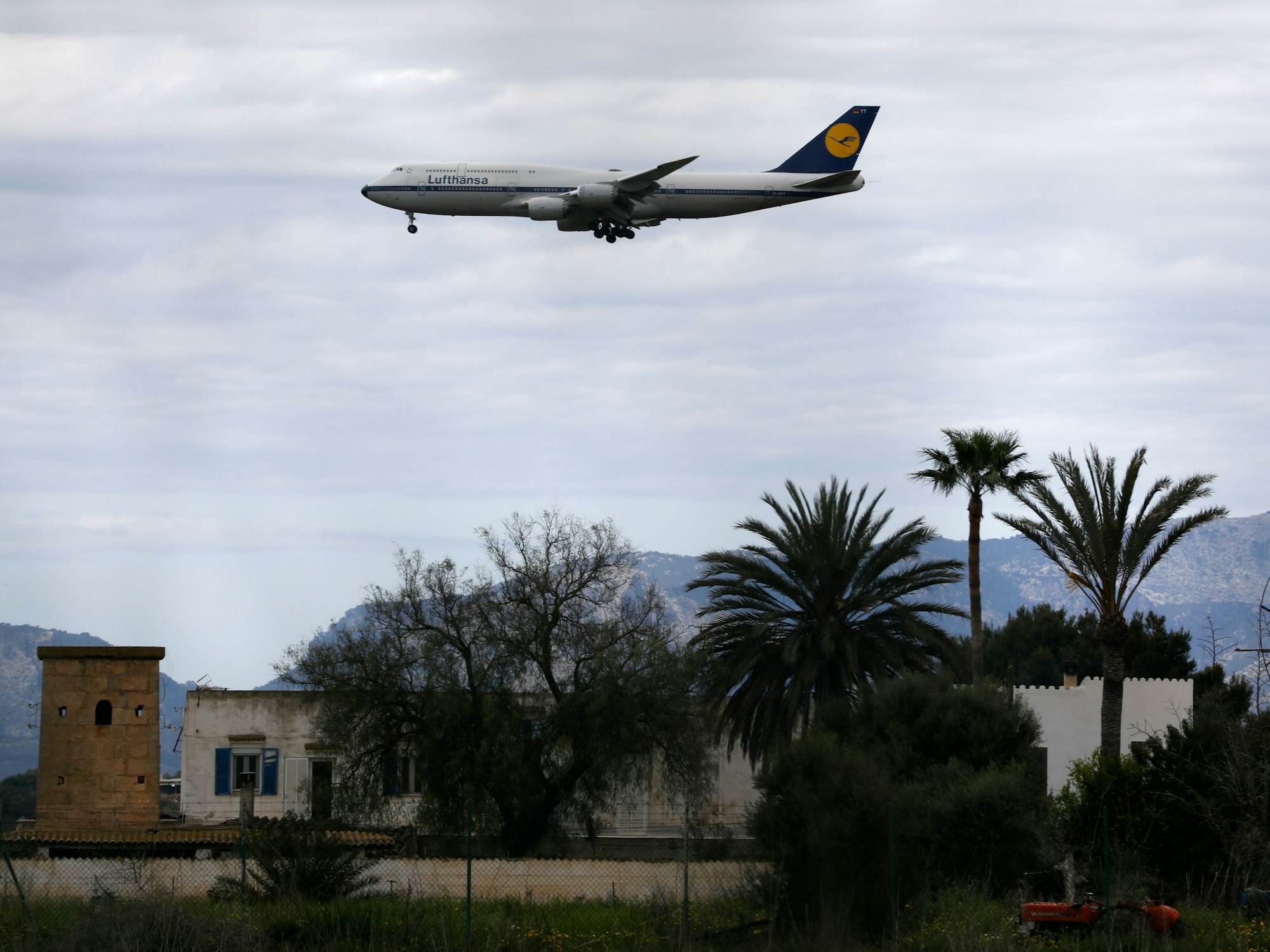 Ein Flugzeug der Lufthansa landet am Flughafen von Palma de Mallorca.