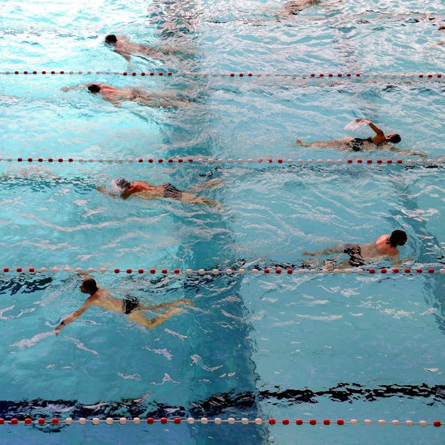 Schwimmer ziehen Bahnen.