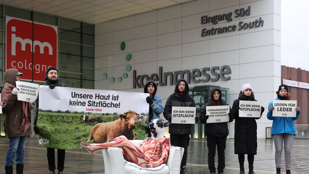 PETA protestiert mit blutigem Rind vor Internationaler Möbelmesse in Köln.