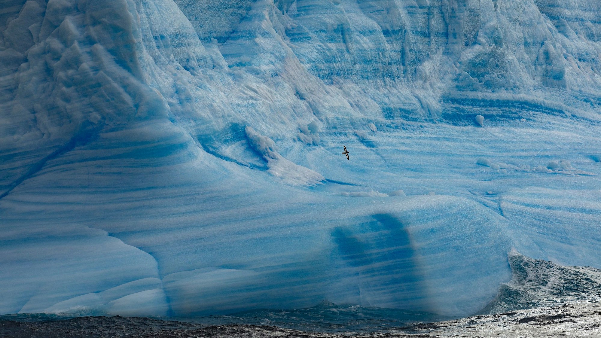 Nachdem der Vogelgrippe-Ausbruch die Antarktis erreicht hat, befürchten Umweltexpertinnen und -experten ein Massensterben von Seevögeln und Meeressäugetieren. Das Foto zeigt einen Gletscher im Weddellmeer.