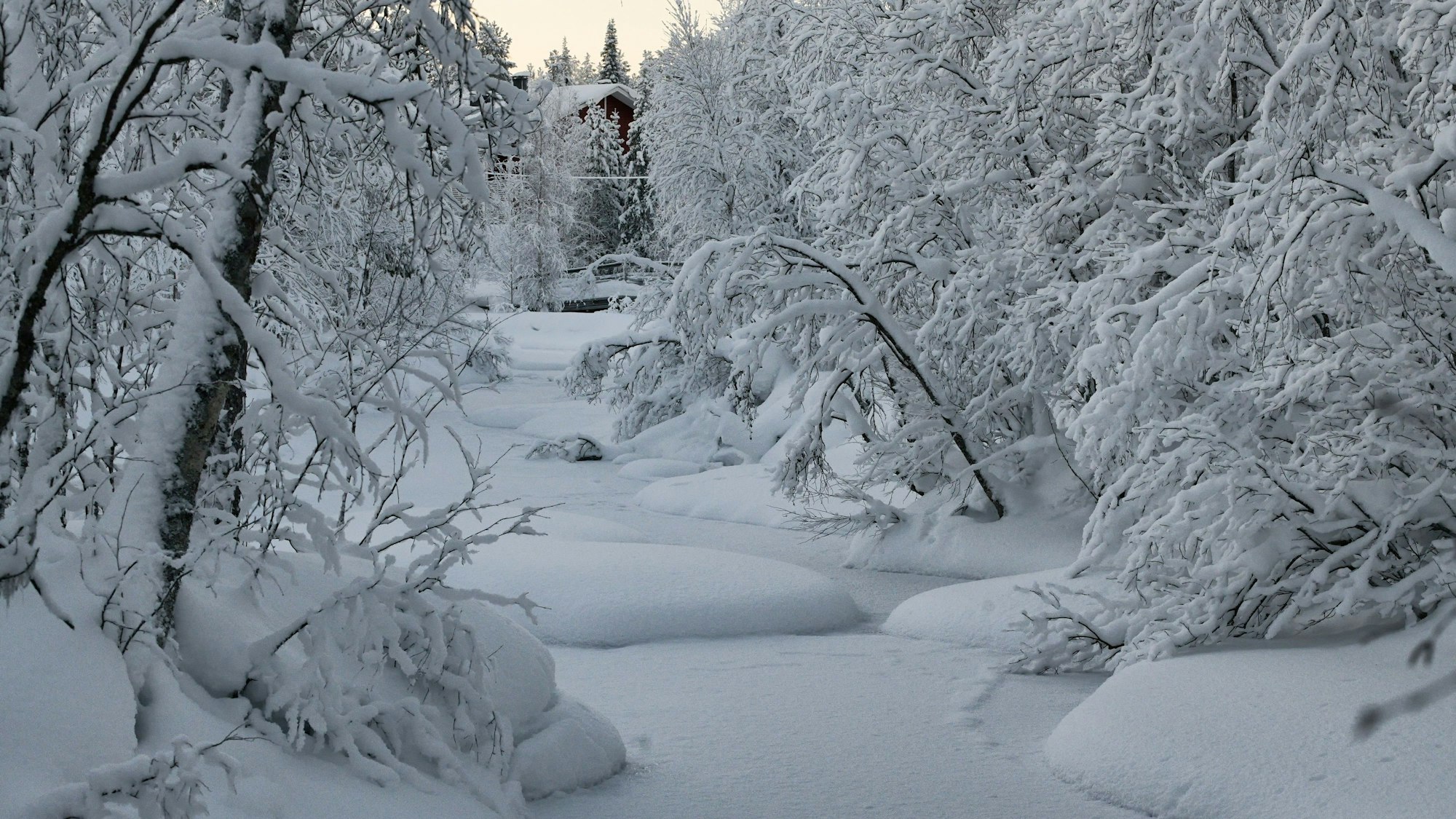 Winterszenerie im finnischen Äkäslompolo Anfang Januar.