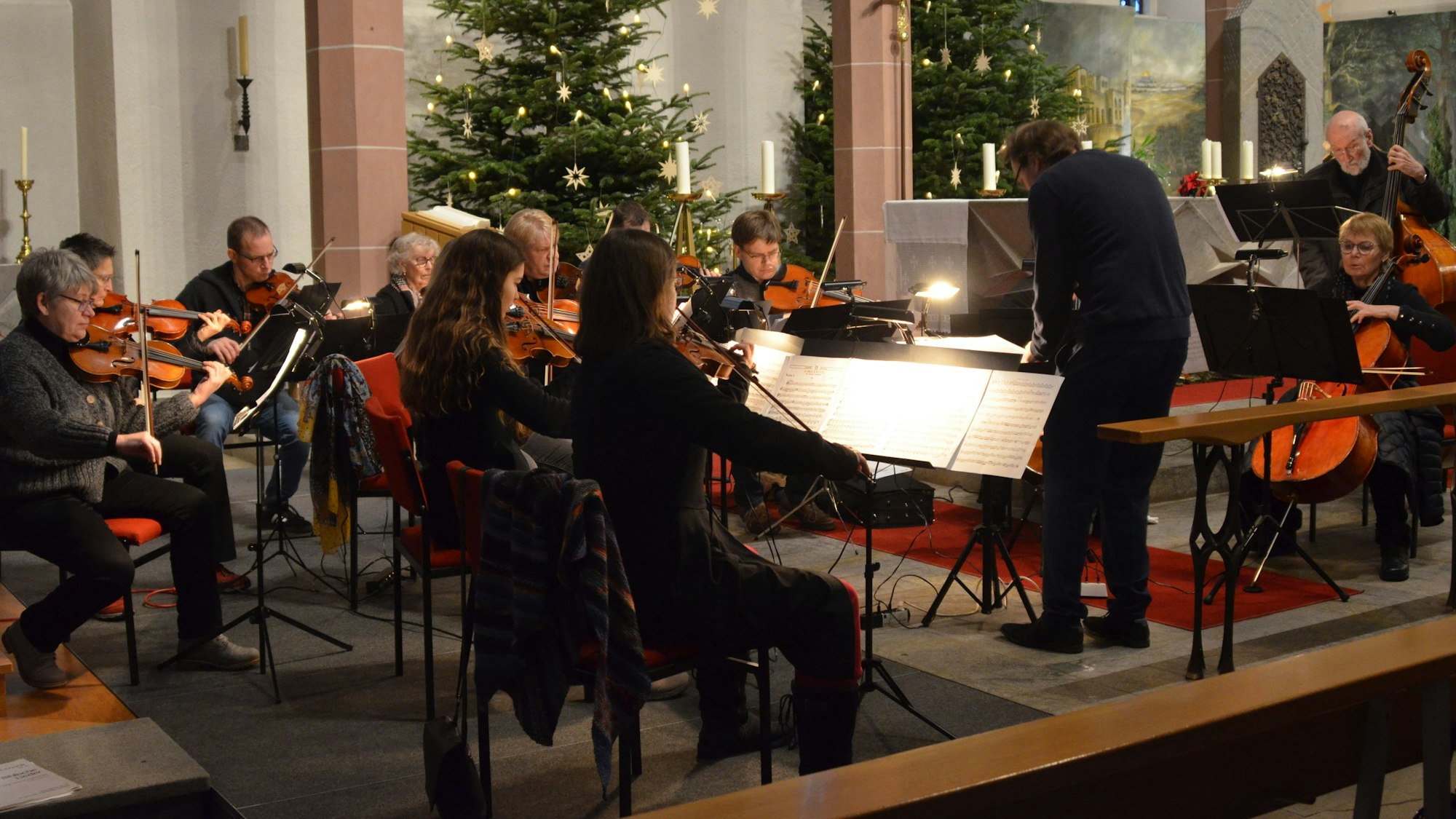 Das Foto zeigt das Kammerorchester Waldbröl.