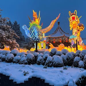 Figuren leuchten vor einer Schneekulisse in der Themenwelt China Town im Phantasialand.