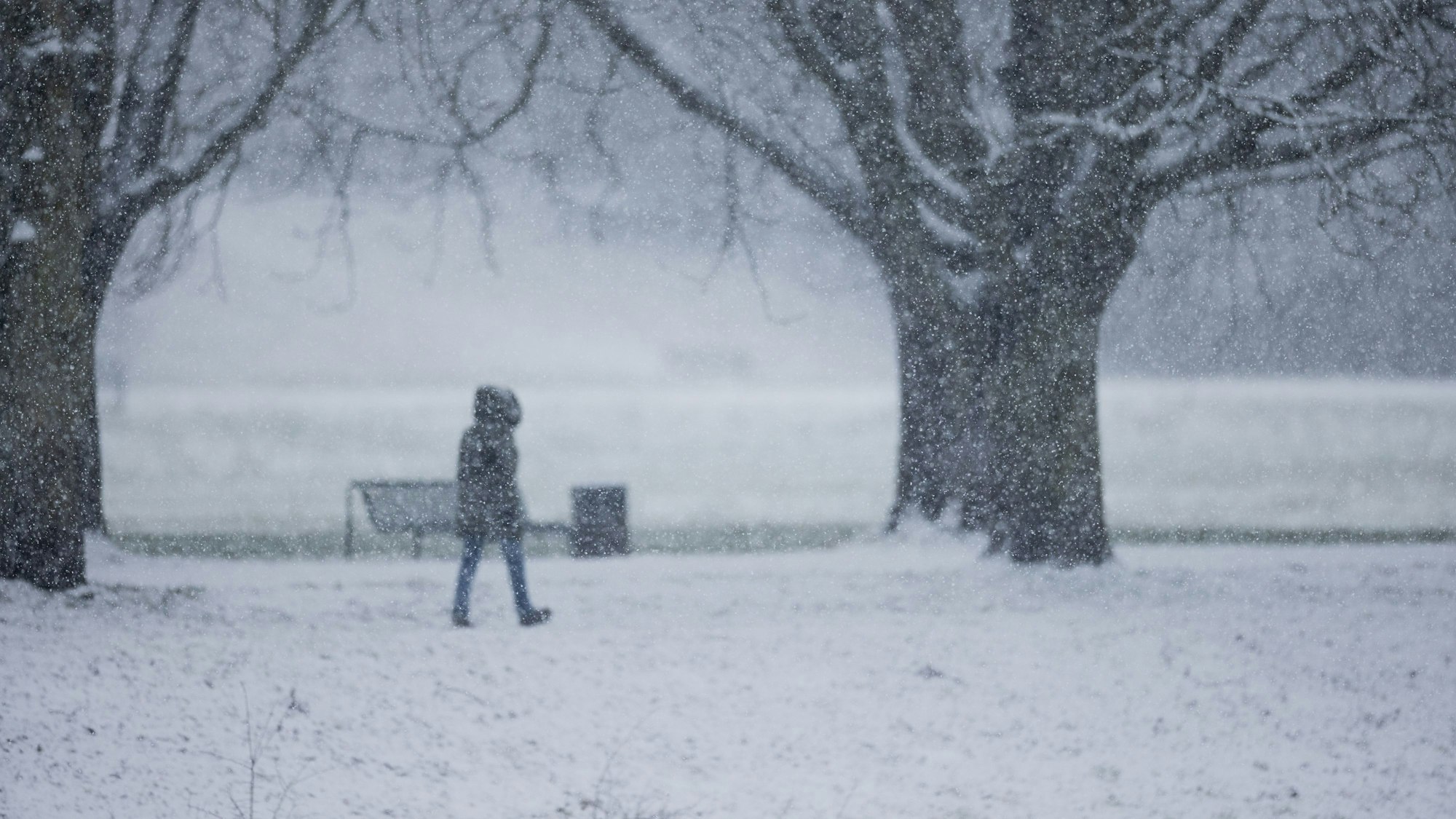 Eine Person geht im dichten Schneetreiben am Decksteiner Weiher spazieren.