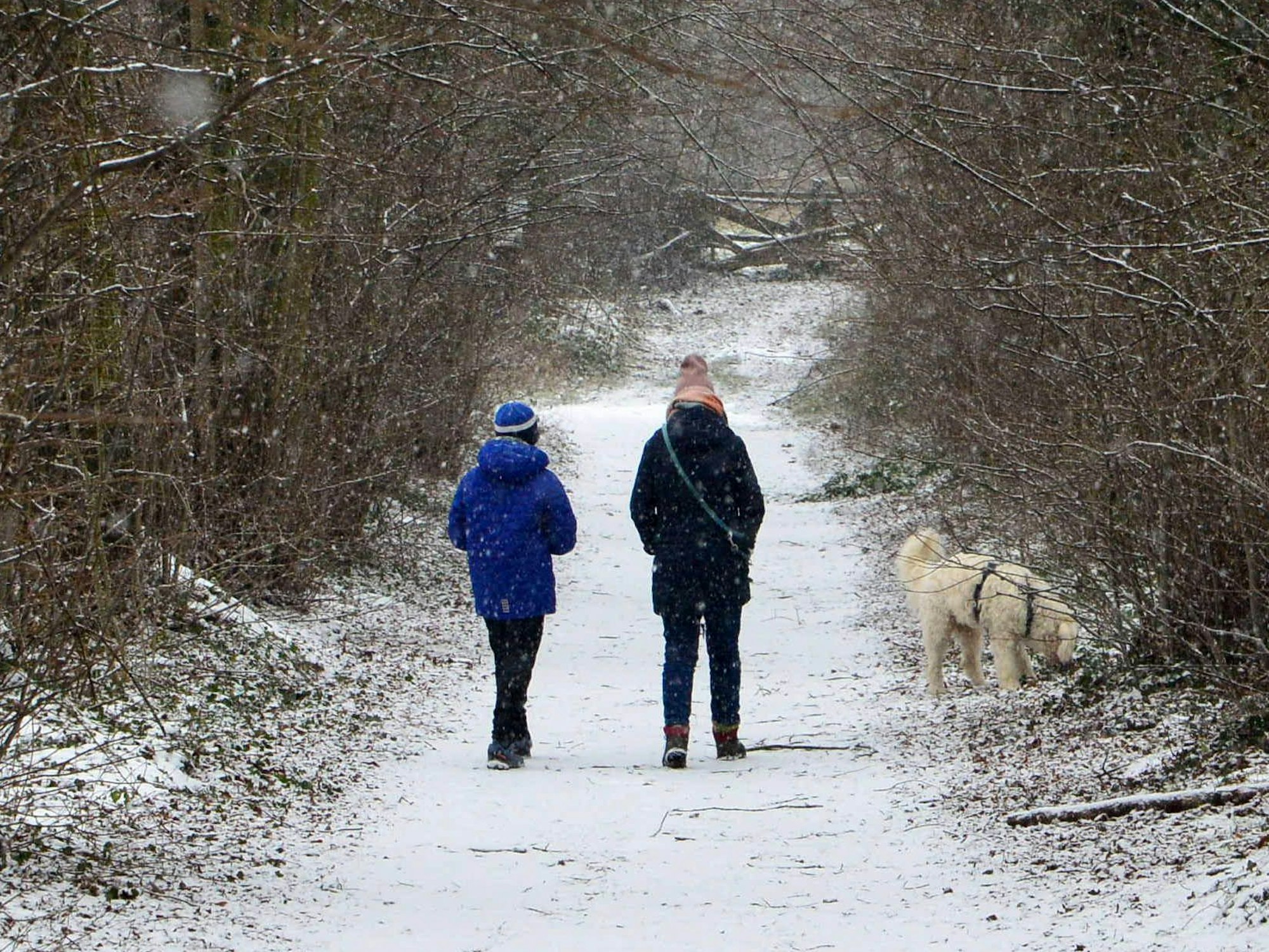 Frechen: Spaziergänger in romantischer Winterlandschaft