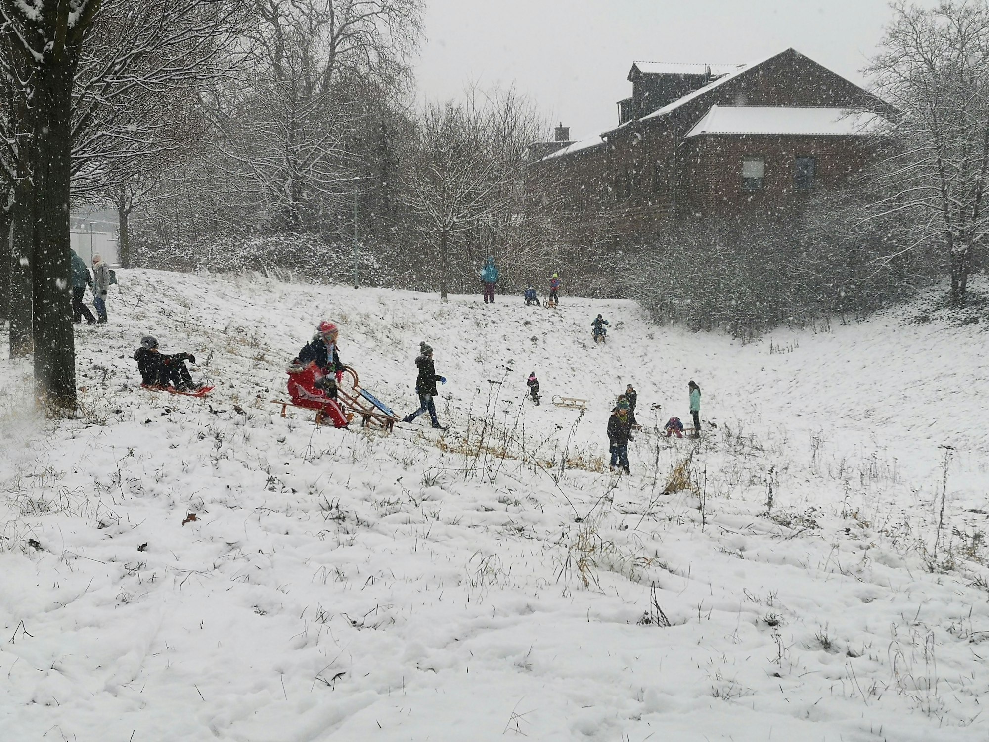Schneetag: In Brühl-Ost freuen sich viele Kinder über das Rodelwetter. 