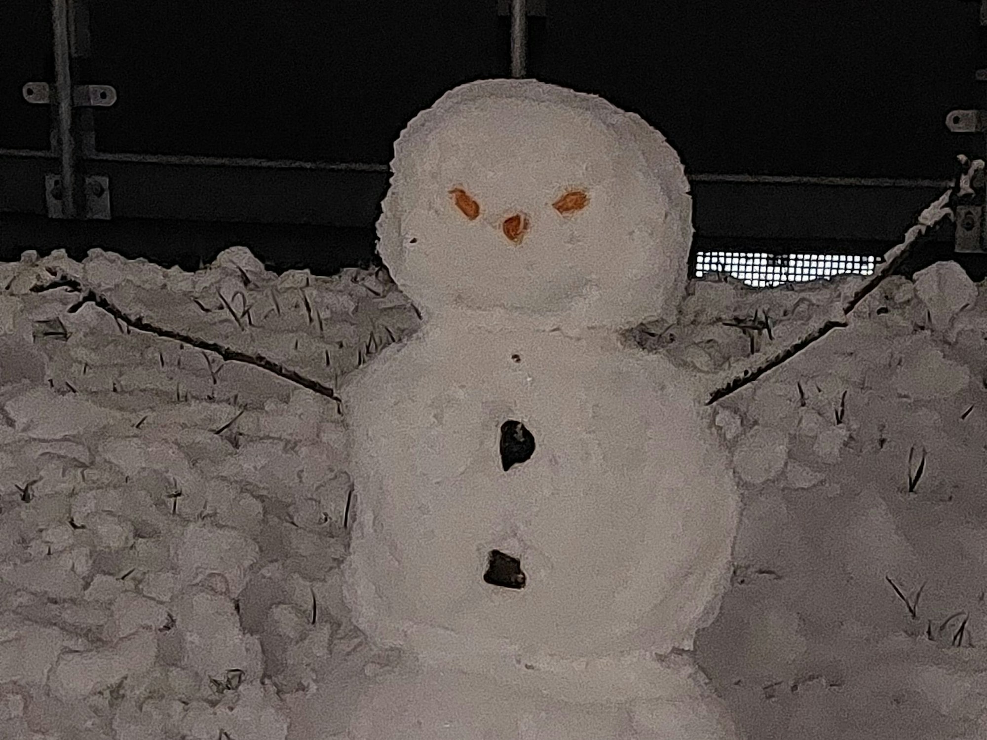 Ein Schneemann steht in einem Garten.