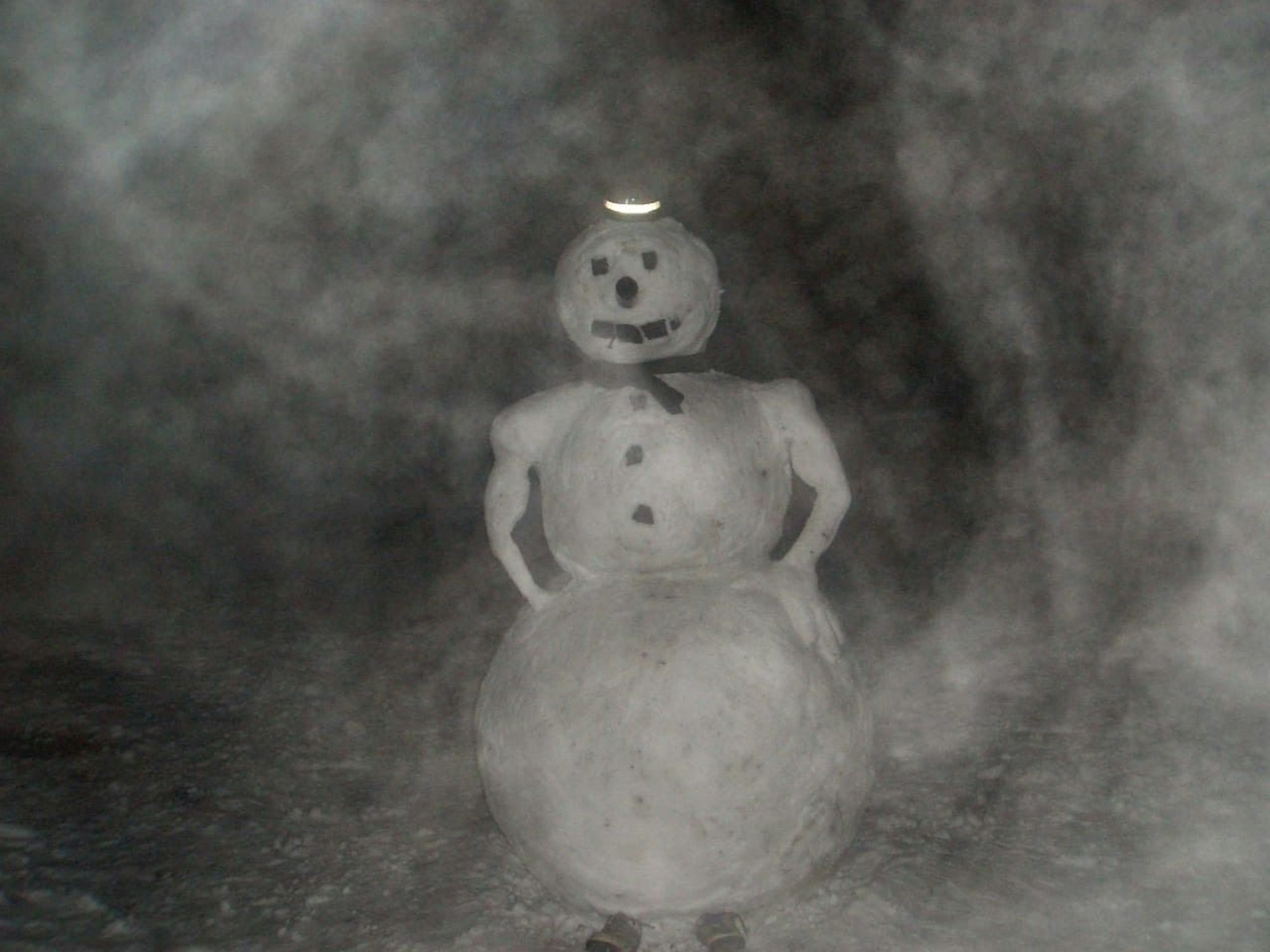 Ein Schneemann auf einem Feld