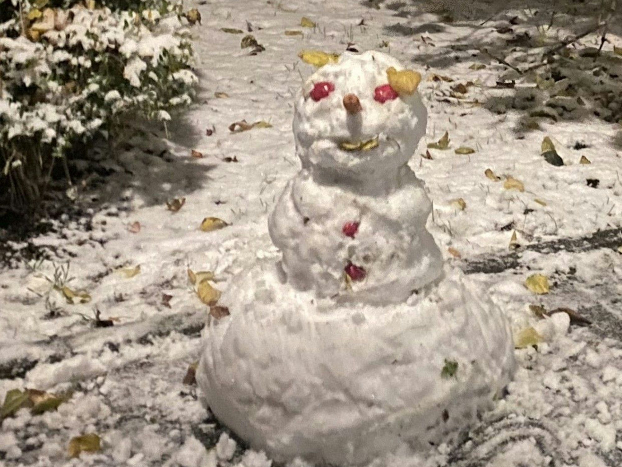 Ein Schneemann in einem Garten.