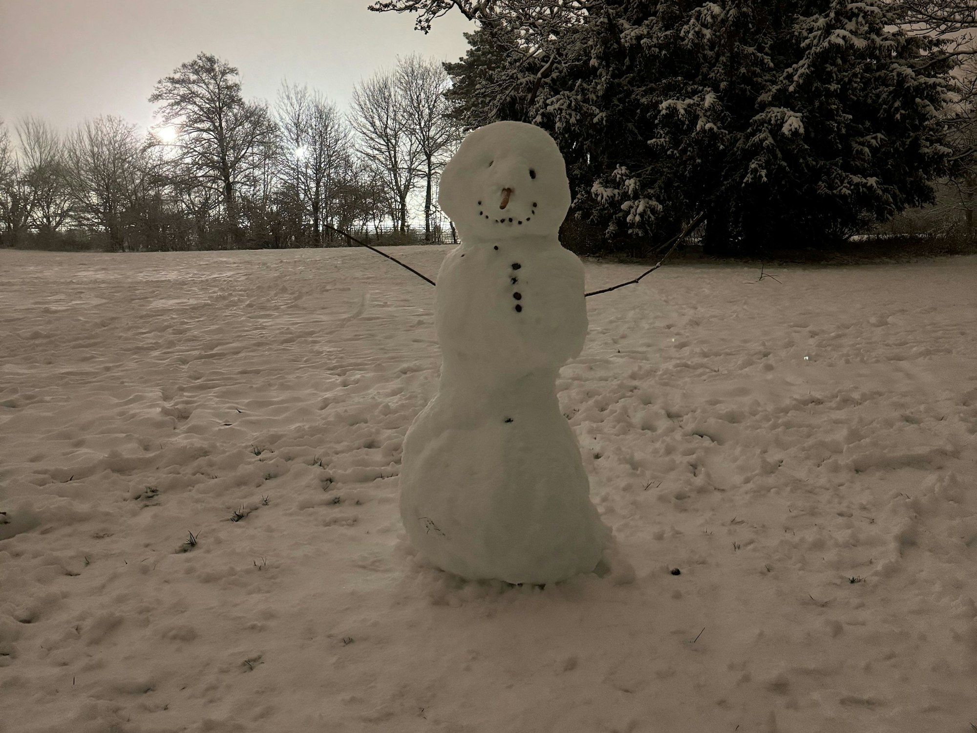Ein Schneemann in einem Park.