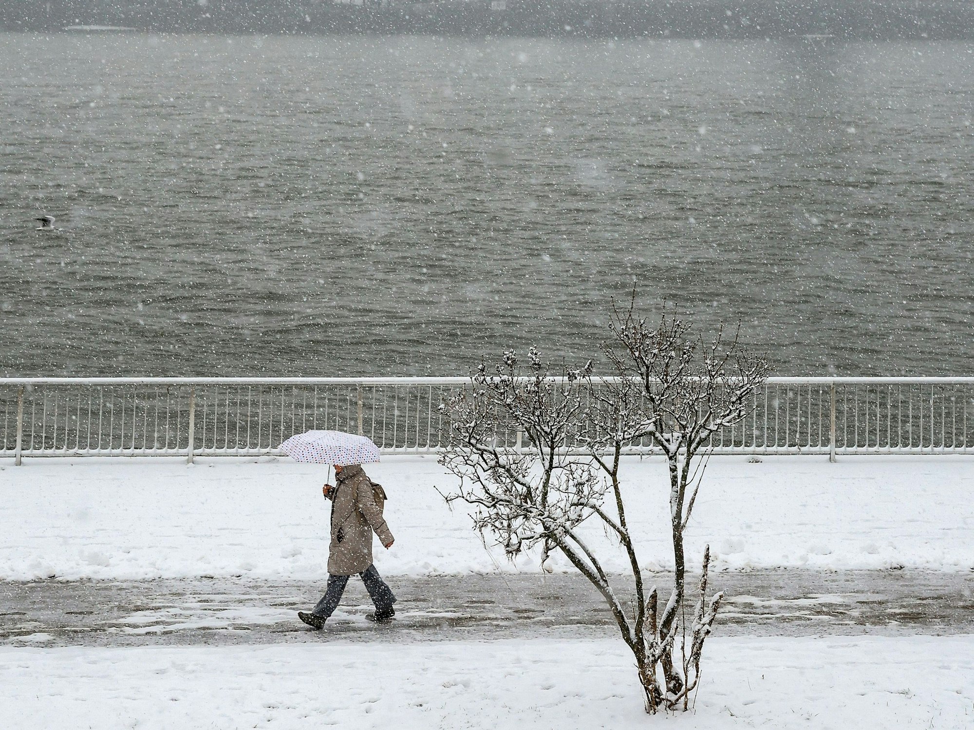 Eine Person läuft im Schnee am Rheinufer an der Bastei entlang.