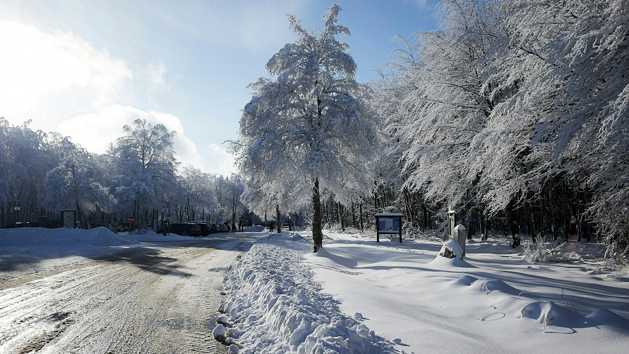 Das Bild zeigt verschneite Bäume entlang einer Straße.