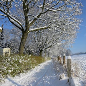 Ein verschneiter Weg führt durch eine Winterlandschaft unter blauem Himmel.