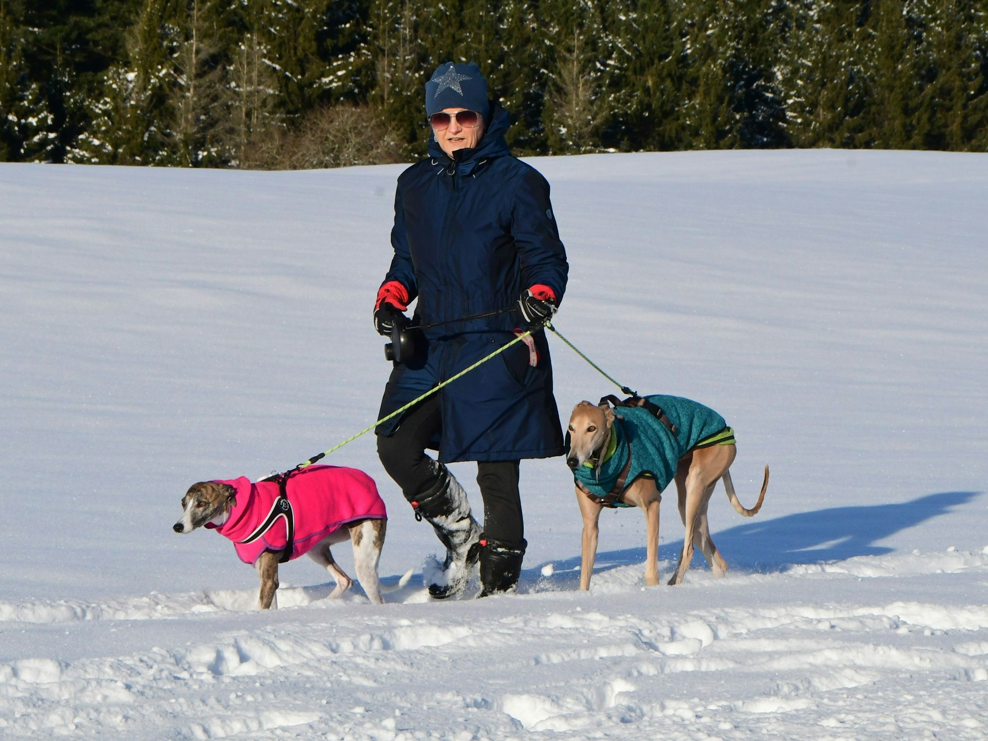 Eine Frau stapft mit zwei Hunden, die warm in Stoffüberzüge gepackt sind, durch den Schnee.